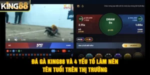Đá Gà King88 Và 4 Yếu Tố Làm Nên Tên Tuổi Trên Thị Trường